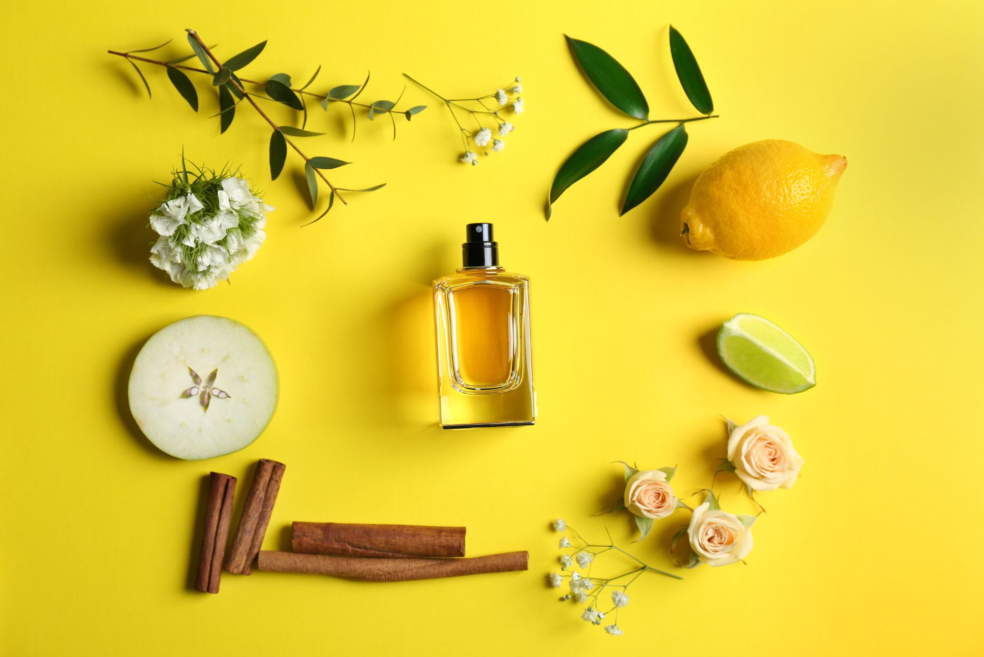 The Art of Fragrance Notes: Understanding Top, Heart and Base Notes
